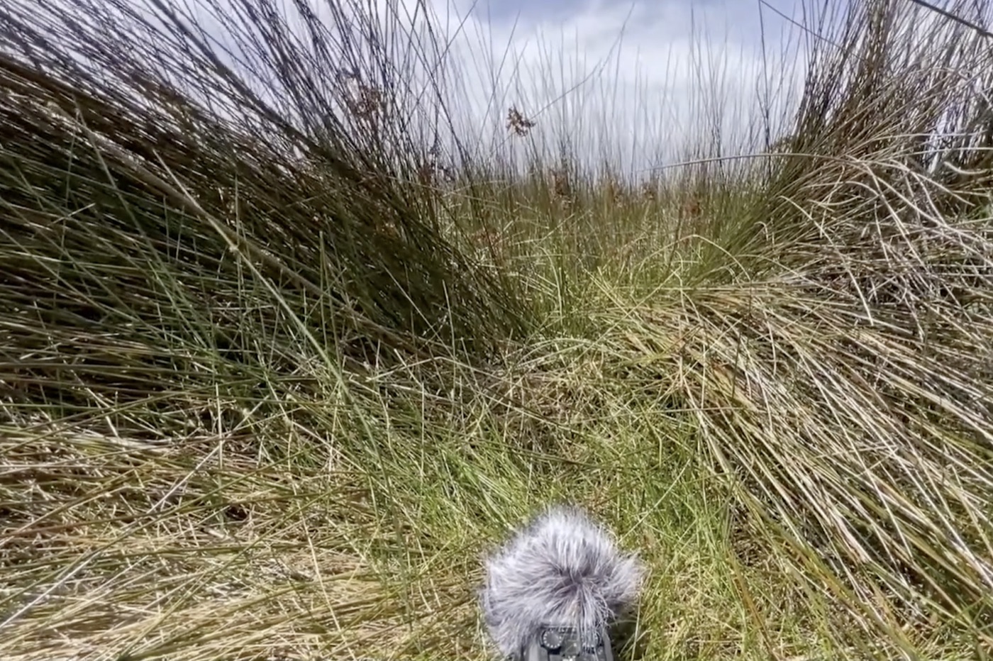 a flimsy beach marker with a contact mic