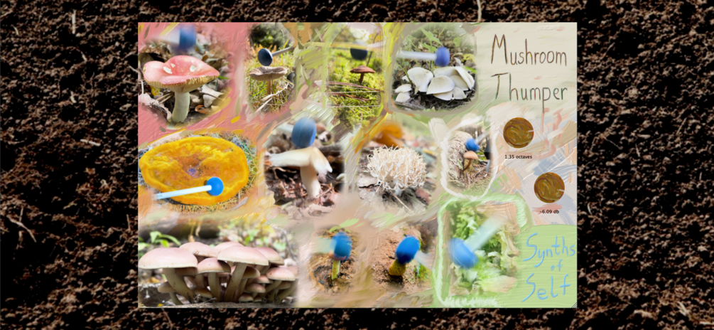 Mushroom Thumper plugin interface